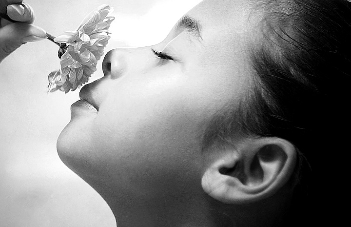 一键安装简单的cc攻击免费网页版